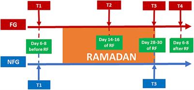 Alterations in anthropometric, inflammatory and mental health parameters during Ramadan intermittent fasting in a group of healthy people: a prospective cohort study